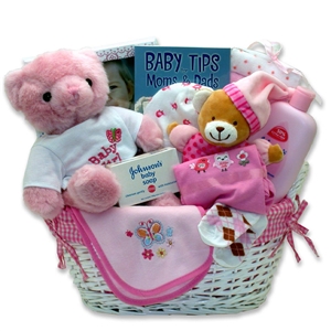 Last Minute Baby Girl Gift Basket- New Baby will be Lovingly Cared for Here!