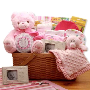 First Teddy Pink Baby Basket