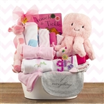 A metal tin basket loaded with all the necessities for the new baby girl!