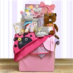 A mesh and fabric folding storage cube with toys, clothes, and keepsake treasures for baby and parents.