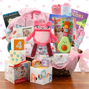 Grand Welcome Baby Gift Gift Basket