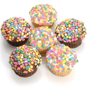 Confetti Gourmet Cupcakes in your choice of cake flavors and icing.