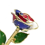 24k Gold Trimmed Rose in Colors of the American Flag