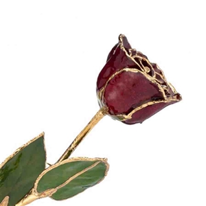 Burgundy Rose preserved in Lacquer and Trimmed in 24 karat Gold