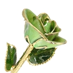 A real 11 inch stem rose in Peridot Light Green color preserved and trimmed in 24K Gold