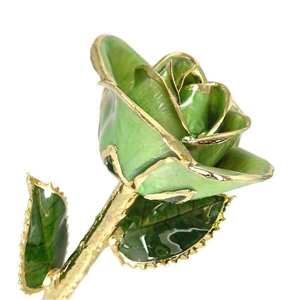 A real 11 inch stem rose in Peridot Light Green color preserved and trimmed in 24K Gold