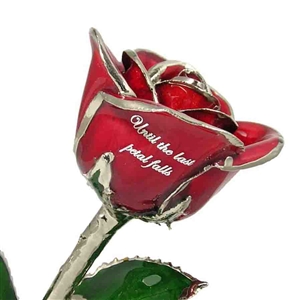 Personalized Color Rose with Platinum Trim - Add A Message and Choose Colors