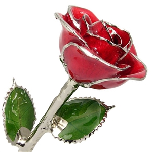 Ruby, July Birthstone Color Rose, trimmed in real Platinum