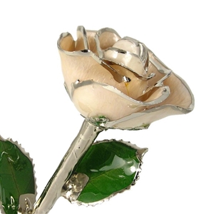 White Lacquer and Platinum Trimmed Preserved Rose