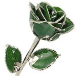 Emerald Green, May Birthstone Color Rose, trimmed in Platinum