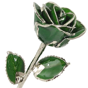 Emerald Green, May Birthstone Color Rose, trimmed in Platinum