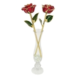 Two 11" Valentines Day Roses preserved forever in your choice of color and trim in a glass bud vase