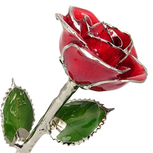 Ruby, July Birthstone Color Rose, trimmed in real Silver