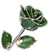 May Birthstone Emerald Green Rose, Silver Trim