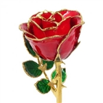 8 Inch Red Rose Preserved Forever, Trimmed in 24K Gold