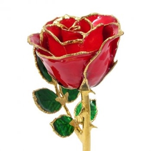 8 Inch Red Rose Preserved Forever, Trimmed in 24K Gold