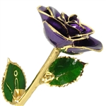 February Birthstone Amethyst Rose Preserved Forever and Trimmed in 24K Gold