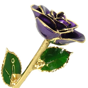 February Birthstone Amethyst Rose Preserved Forever and Trimmed in 24K Gold