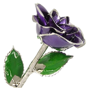 February Birthstone Amethyst Rose Preserved Forever and Trimmed in Platinum