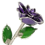 February Birthstone Purple Amethyst Rose Preserved Forever and Trimmed in Silver