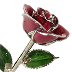 January Birthstone Red Garnet Rose Preserved Forever and Trimmed in Silver