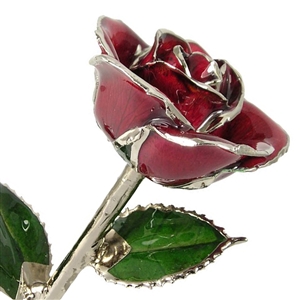 January Birthstone Red Garnet Rose Preserved Forever and Trimmed in Silver
