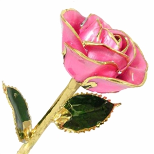Pink Tourmaline October Birthstone 24K Gold Trimmed Rose