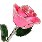 Pink Tourmaline October Birthstone Silver Trimmed Rose