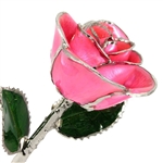 Breast Cancer Awareness Pink Rose Preserved Forever with Silver Trim
